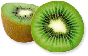 Quả Kiwi - Kiwi PNG (23)