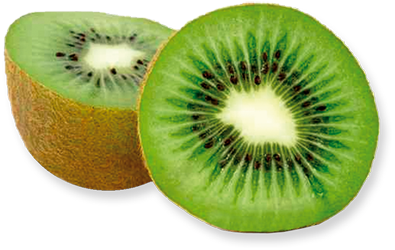 Quả Kiwi - Kiwi PNG (23)