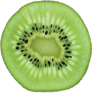 Quả Kiwi - Kiwi PNG (24)