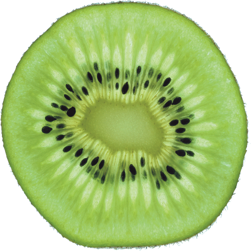 Quả Kiwi - Kiwi PNG (24)