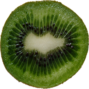 Quả Kiwi - Kiwi PNG (27)