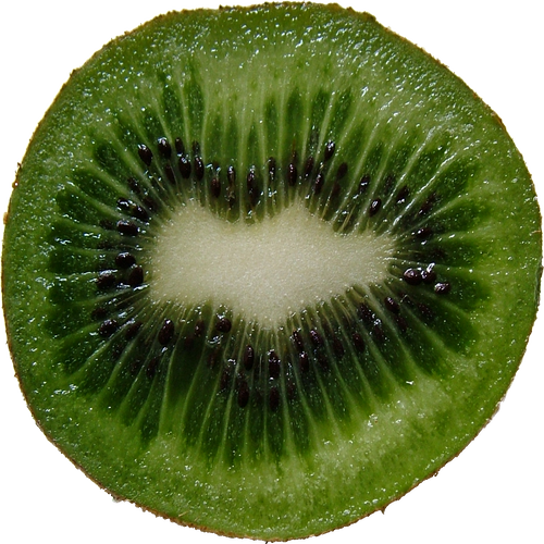 Quả Kiwi - Kiwi PNG (27)