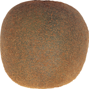 Quả Kiwi - Kiwi PNG (3)