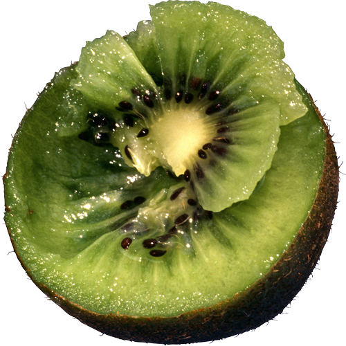 Quả Kiwi - Kiwi PNG (5)