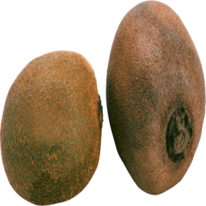 Quả Kiwi - Kiwi PNG (7)
