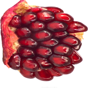 Quả Lựu 3103 (2)