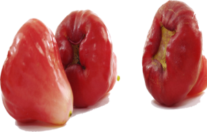 Quả Mận - Roi 3103 (1)