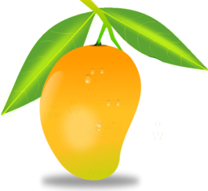 Quả Xoài - Mango (1)