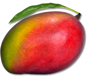 Quả Xoài - Mango (10)