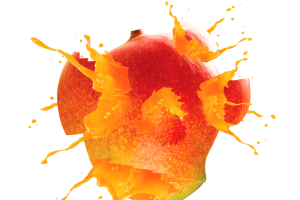 Quả Xoài - Mango (11)