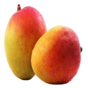 Quả Xoài - Mango (12)