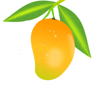 Quả Xoài - Mango (14)