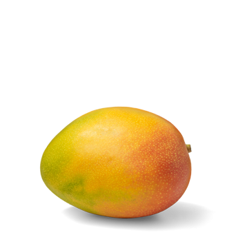 Quả Xoài - Mango (16)