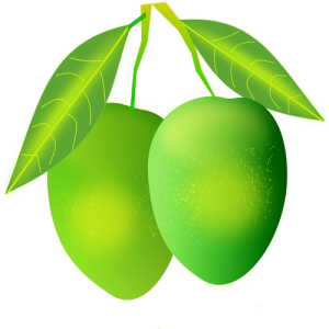 Quả Xoài - Mango (20)