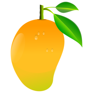 Quả Xoài - Mango (21)