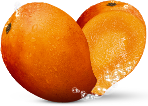 Quả Xoài - Mango (22)