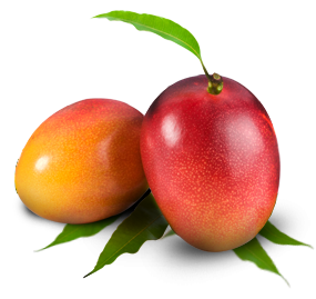 Quả Xoài - Mango (23)