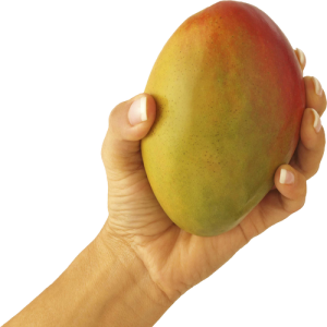 Quả Xoài - Mango (25)