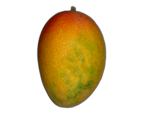 Quả Xoài - Mango (9)