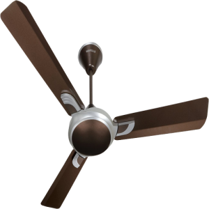 Quạt Gió - Quạt Trần (4)