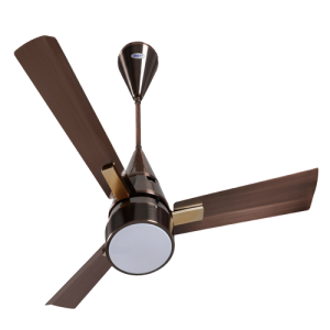 Quạt Gió - Quạt Trần (5)