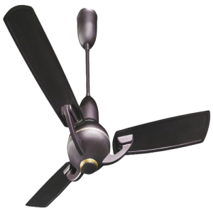 Quạt Gió - Quạt Trần (6)