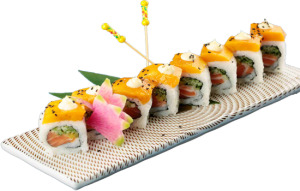 Sushi - Sashimi 3103 (7)