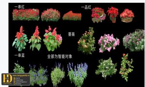 Tài Nguyên Decor Cưới - tainguyenhd.vn (54)