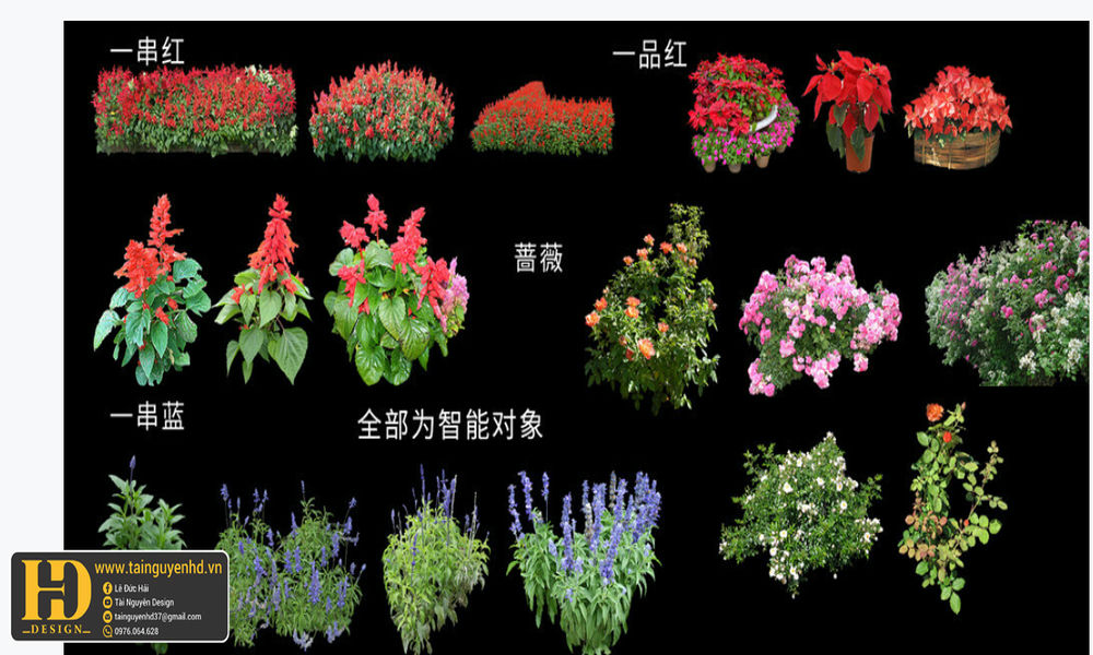 Tài Nguyên Decor Cưới - tainguyenhd.vn (54)