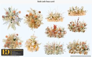 Tài Nguyên Sinh Nhật Siêu Đẹp (387)