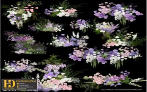 Tài Nguyên Sinh Nhật Siêu Đẹp (395)