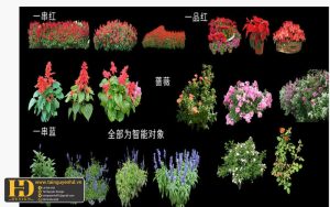 Tài Nguyên Sinh Nhật Siêu Đẹp (398)