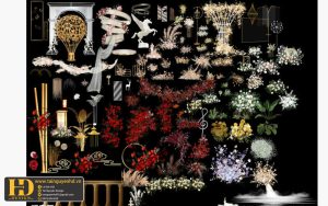 Tài Nguyên Sinh Nhật Siêu Đẹp (402)