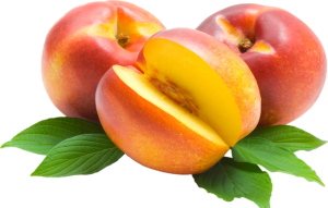 Táo Tàu - Apple 3103 (4)