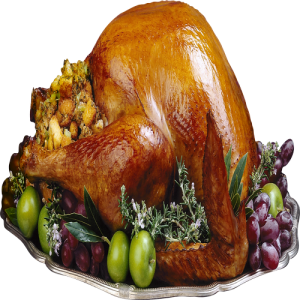 Thịt Gà - Chicken PNG (24)