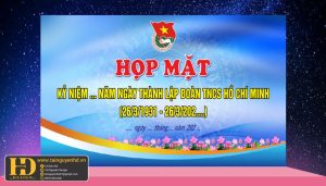 Vector Đoàn TNCS Hồ Chí Minh (13)