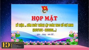 Vector Đoàn TNCS Hồ Chí Minh (16)