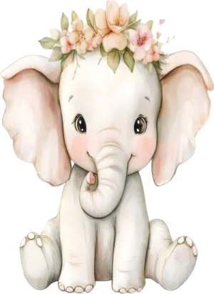 Voi Con Cute PNG (8)