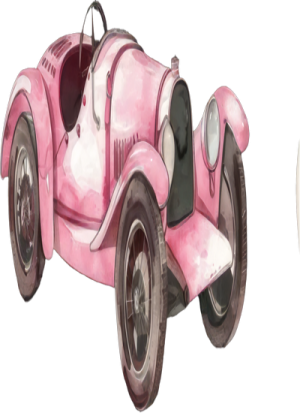 Xe Đua Màu Hồng (1)