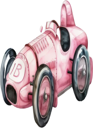 Xe Đua Màu Hồng (3)