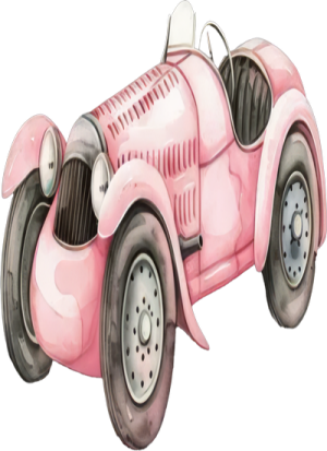 Xe Đua Màu Hồng (4)