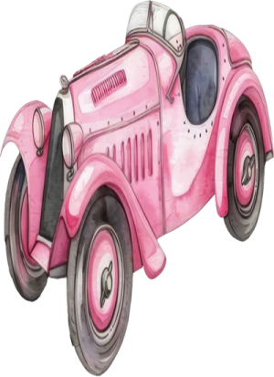 Xe Đua Màu Hồng (5)