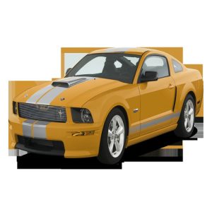 Xe Ô Tô Ford_mustang (31)