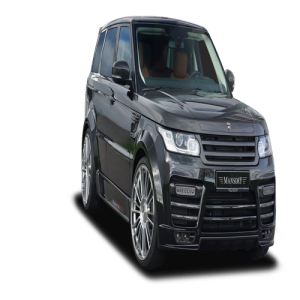 Xe Ô Tô Lan Rover  (60)