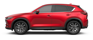 Xe Ô Tô Mazda (18)