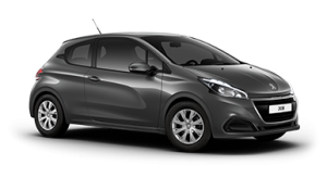 Xe Ô Tô Peugout (10)