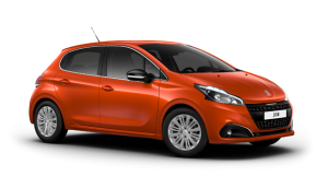 Xe Ô Tô Peugout (12)