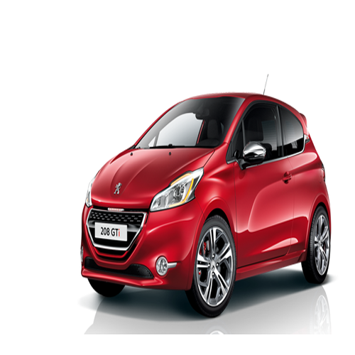 Xe Ô Tô Peugout (14)