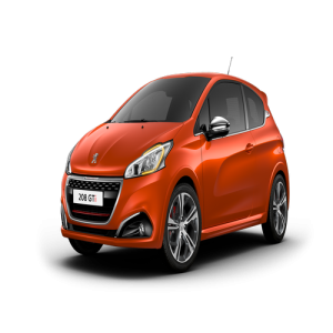 Xe Ô Tô Peugout (15)