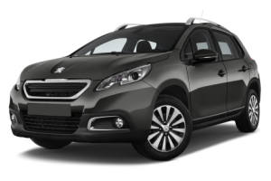 Xe Ô Tô Peugout (22)